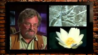 UFO`s an Ancient Aliens Debunked (Part 2) - Ancient Artifacts